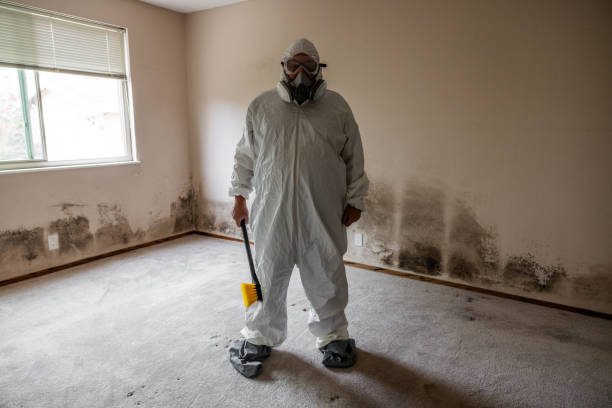 Best Biohazard Mold Removal  in Rockville, MD